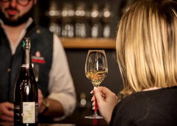 Hôtel accueillant les animaux: Champagne André Bergère